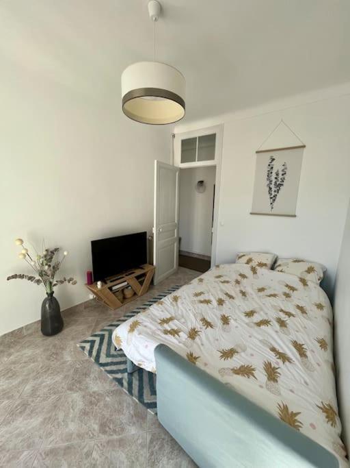 Appartamento 2 Pieces Cocooning Pres Du Port/gare Riquier *